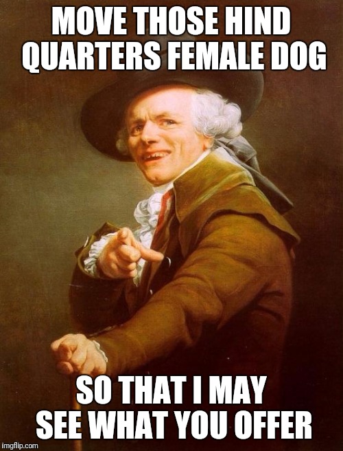Joseph Ducreux Meme | MOVE THOSE HIND QUARTERS FEMALE DOG; SO THAT I MAY SEE WHAT YOU OFFER | image tagged in memes,joseph ducreux | made w/ Imgflip meme maker