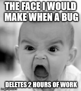 Angry Baby | THE FACE I WOULD MAKE WHEN A BUG; DELETES 2 HOURS OF WORK | image tagged in memes,angry baby | made w/ Imgflip meme maker