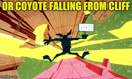 OR COYOTE FALLING FROM CLIFF | made w/ Imgflip meme maker