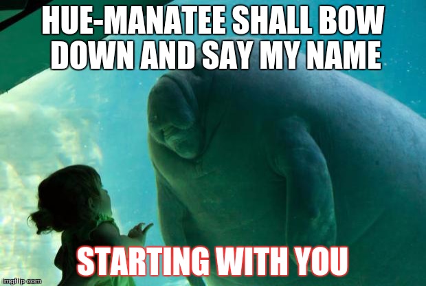 Overlord Manatee | HUE-MANATEE SHALL BOW DOWN AND SAY MY NAME; STARTING WITH YOU | image tagged in overlord manatee | made w/ Imgflip meme maker