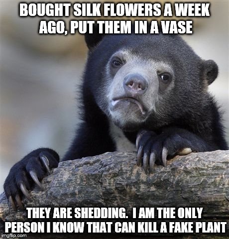 Confession Bear | BOUGHT SILK FLOWERS A WEEK AGO, PUT THEM IN A VASE; THEY ARE SHEDDING.  I AM THE ONLY PERSON I KNOW THAT CAN KILL A FAKE PLANT | image tagged in memes,confession bear | made w/ Imgflip meme maker