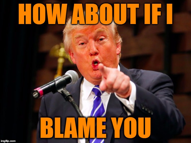 trump point | HOW ABOUT IF I BLAME YOU | image tagged in trump point | made w/ Imgflip meme maker