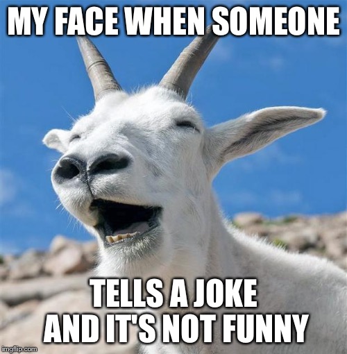 Laughing Goat | MY FACE WHEN SOMEONE; TELLS A JOKE AND IT'S NOT FUNNY | image tagged in memes,laughing goat | made w/ Imgflip meme maker