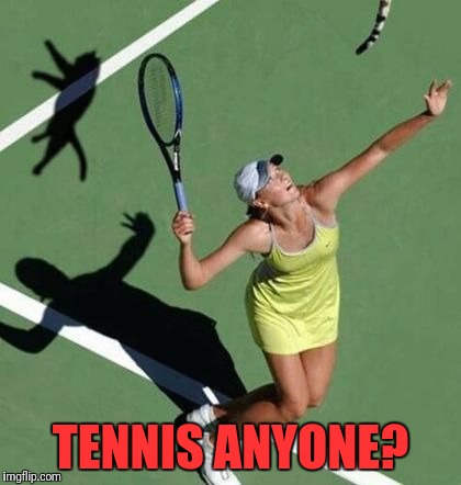 Grumpy Cat Tennis | TENNIS ANYONE? | image tagged in grumpy cat tennis | made w/ Imgflip meme maker