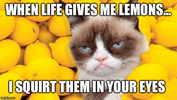 Grumpy Cat lemons | WHEN LIFE GIVES ME LEMONS... I SQUIRT THEM IN YOUR EYES | image tagged in grumpy cat lemons | made w/ Imgflip meme maker