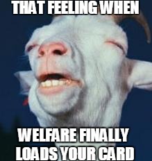 goat | THAT FEELING WHEN; WELFARE FINALLY LOADS YOUR CARD | image tagged in goat | made w/ Imgflip meme maker