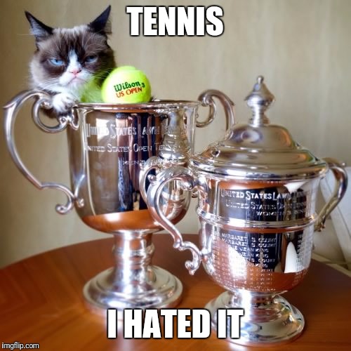 TENNIS I HATED IT | made w/ Imgflip meme maker