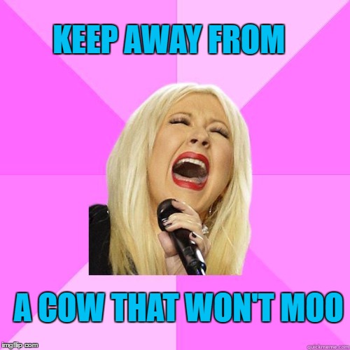KEEP AWAY FROM A COW THAT WON'T MOO | image tagged in karaoke | made w/ Imgflip meme maker