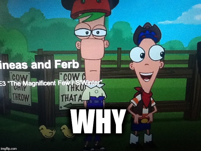 Phineas and ferb | WHY | image tagged in phineas and ferb | made w/ Imgflip meme maker