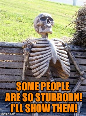Stubborn People | SOME PEOPLE ARE SO STUBBORN! I'LL SHOW THEM! | image tagged in memes,waiting skeleton,stubborn,ill show them | made w/ Imgflip meme maker