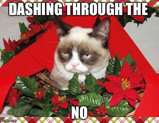 Grumpy Cat Mistletoe Meme | DASHING THROUGH THE; NO | image tagged in memes,grumpy cat mistletoe,grumpy cat | made w/ Imgflip meme maker