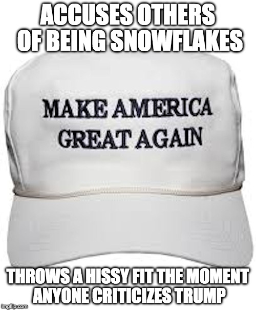 trump hat | ACCUSES OTHERS OF BEING SNOWFLAKES; THROWS A HISSY FIT THE MOMENT ANYONE CRITICIZES TRUMP | image tagged in trump hat | made w/ Imgflip meme maker