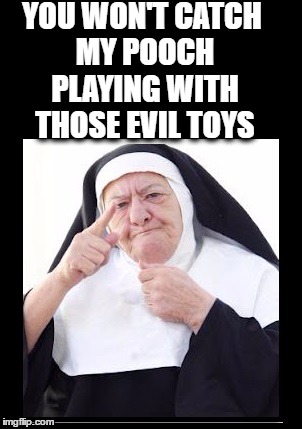 nun | YOU WON'T CATCH MY POOCH PLAYING WITH THOSE EVIL TOYS | image tagged in nun | made w/ Imgflip meme maker
