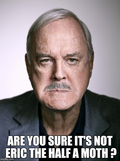 John Cleese | ARE YOU SURE IT'S NOT ERIC THE HALF A MOTH ? | image tagged in john cleese | made w/ Imgflip meme maker