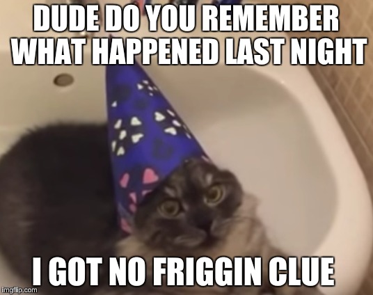 DUDE DO YOU REMEMBER WHAT HAPPENED LAST NIGHT; I GOT NO FRIGGIN CLUE | image tagged in funny,10 guy,memes,bad luck brian | made w/ Imgflip meme maker