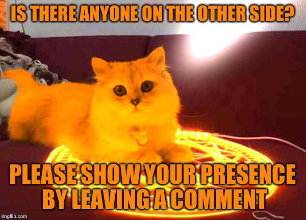 RayCat Seance | IS THERE ANYONE ON THE OTHER SIDE? PLEASE SHOW YOUR PRESENCE BY LEAVING A COMMENT | image tagged in raycat powers,memes | made w/ Imgflip meme maker