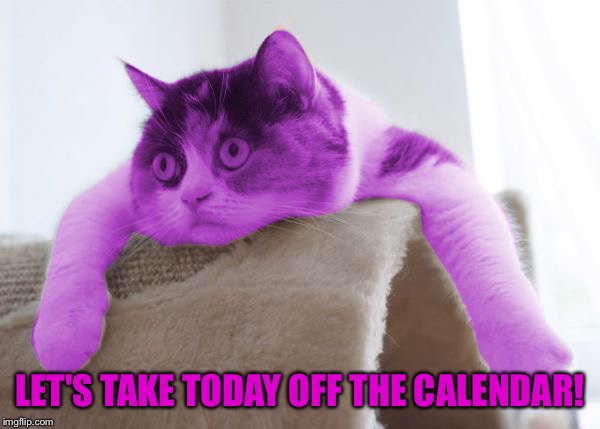 RayCat Stare | LET'S TAKE TODAY OFF THE CALENDAR! | image tagged in raycat stare | made w/ Imgflip meme maker