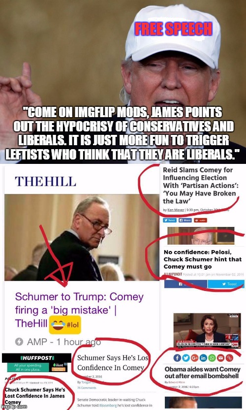 Give free speech a chance!  | FREE SPEECH; "COME ON IMGFLIP MODS, JAMES POINTS OUT THE HYPOCRISY OF CONSERVATIVES AND LIBERALS. IT IS JUST MORE FUN TO TRIGGER LEFTISTS WHO THINK THAT THEY ARE LIBERALS." | image tagged in memes,imgflip mods,liberals vs conservatives,chuck schumer,james comey,free speech | made w/ Imgflip meme maker