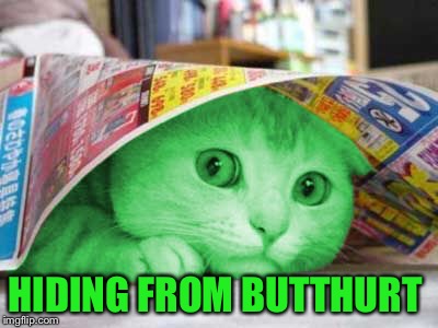 RayCat Scared | HIDING FROM BUTTHURT | image tagged in raycat scared | made w/ Imgflip meme maker