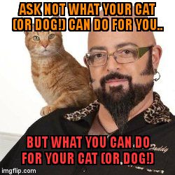 ASK NOT WHAT YOUR CAT (OR DOG!) CAN DO FOR YOU.. BUT WHAT YOU CAN DO FOR YOUR CAT (OR DOG!) | image tagged in cat daddy | made w/ Imgflip meme maker