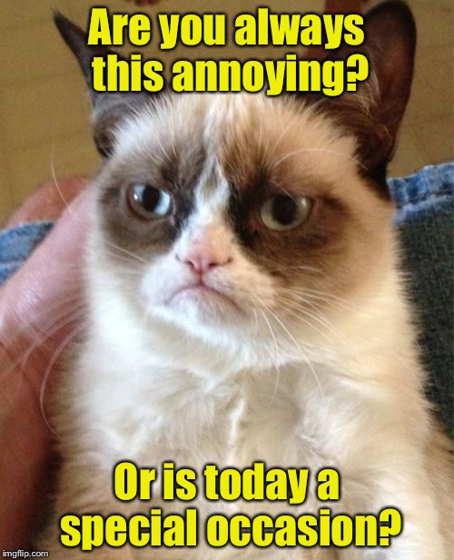Grumpy Cat Meme | Are you always this annoying? Or is today a special occasion? | image tagged in memes,grumpy cat | made w/ Imgflip meme maker