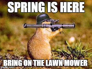 SPRING IS HERE; BRING ON THE LAWN MOWER | image tagged in spring,summer,funny memes | made w/ Imgflip meme maker
