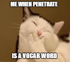 pervert cat | ME WHEN PENETRATE; IS A VOCAB WORD | image tagged in pervert,cat | made w/ Imgflip meme maker