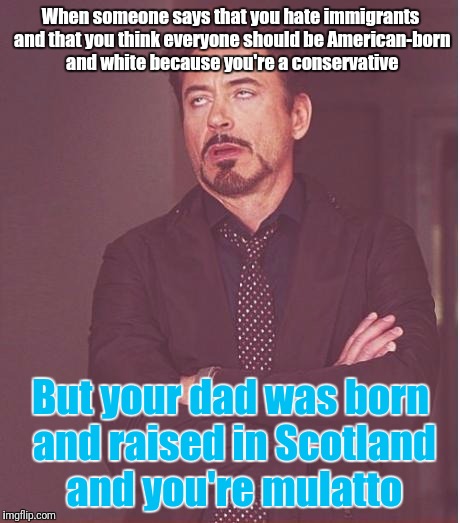 Build that wall (between libtards and Facebook) | When someone says that you hate immigrants and that you think everyone should be American-born and white because you're a conservative; But your dad was born and raised in Scotland and you're mulatto | image tagged in memes,face you make robert downey jr,liberal vs conservative | made w/ Imgflip meme maker