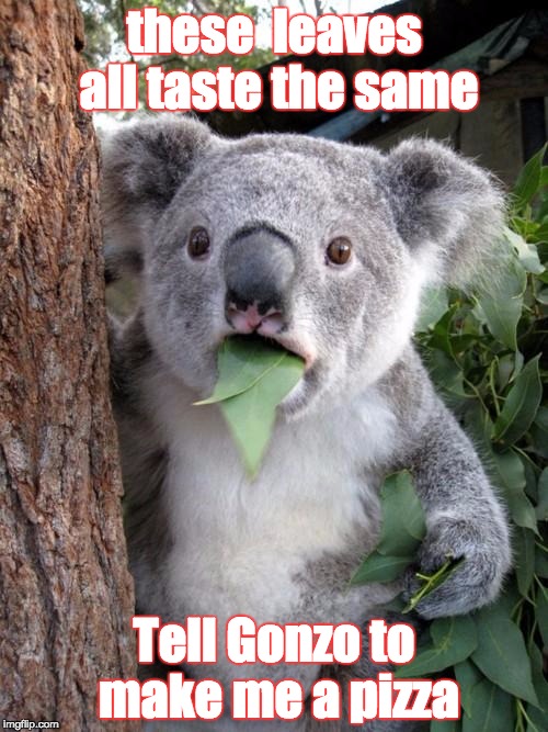 Surprised Koala Meme | these  leaves all taste the same; Tell Gonzo to make me a pizza | image tagged in memes,surprised koala | made w/ Imgflip meme maker