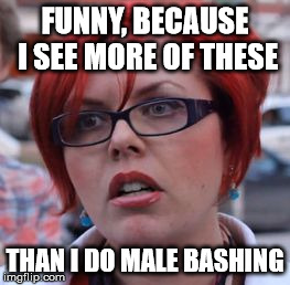 FUNNY, BECAUSE I SEE MORE OF THESE THAN I DO MALE BASHING | made w/ Imgflip meme maker