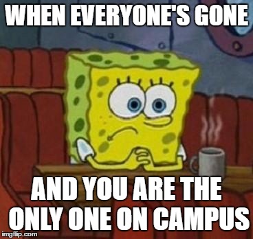 Lonely Spongebob | WHEN EVERYONE'S GONE; AND YOU ARE THE ONLY ONE ON CAMPUS | image tagged in lonely spongebob | made w/ Imgflip meme maker