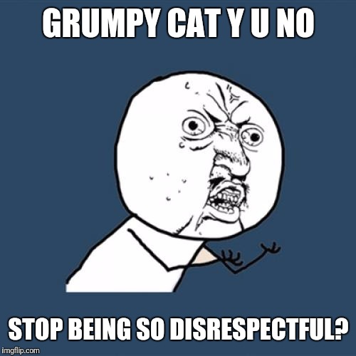 Y U No Meme | GRUMPY CAT Y U NO STOP BEING SO DISRESPECTFUL? | image tagged in memes,y u no | made w/ Imgflip meme maker
