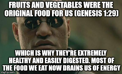 Health | FRUITS AND VEGETABLES WERE THE ORIGINAL FOOD FOR US (GENESIS 1:29); WHICH IS WHY THEY'RE EXTREMELY HEALTHY AND EASILY DIGESTED. MOST OF THE FOOD WE EAT NOW DRAINS US OF ENERGY | image tagged in memes,matrix morpheus,health | made w/ Imgflip meme maker