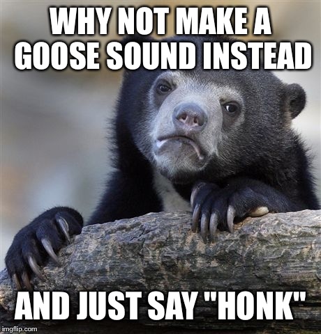 Confession Bear Meme | WHY NOT MAKE A GOOSE SOUND INSTEAD AND JUST SAY "HONK" | image tagged in memes,confession bear | made w/ Imgflip meme maker