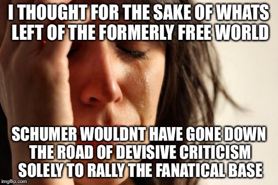 First World Problems Meme | I THOUGHT FOR THE SAKE OF WHATS LEFT OF THE FORMERLY FREE WORLD SCHUMER WOULDNT HAVE GONE DOWN THE ROAD OF DEVISIVE CRITICISM SOLELY TO RALL | image tagged in memes,first world problems | made w/ Imgflip meme maker