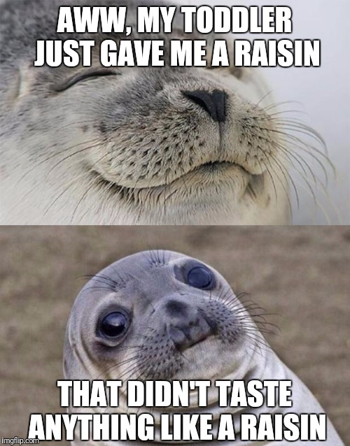 It was sweet, it was salty, but it was no raisin. "Where did you get it?" "On the floor."  | AWW, MY TODDLER JUST GAVE ME A RAISIN; THAT DIDN'T TASTE ANYTHING LIKE A RAISIN | image tagged in memes,short satisfaction vs truth | made w/ Imgflip meme maker