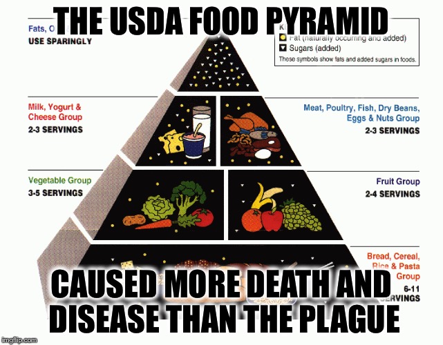 THE USDA FOOD PYRAMID CAUSED MORE DEATH AND DISEASE THAN THE PLAGUE | made w/ Imgflip meme maker