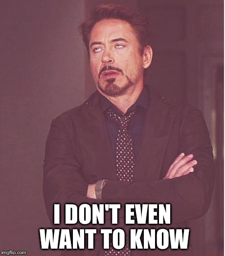 Face You Make Robert Downey Jr Meme | I DON'T EVEN WANT TO KNOW | image tagged in memes,face you make robert downey jr | made w/ Imgflip meme maker