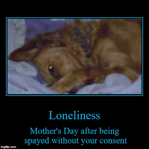 Happy Mother's Day - Breeders! | image tagged in demotivationals,forever alone,violence against women,uterus jokes,mother's day,forever resentful mother | made w/ Imgflip demotivational maker