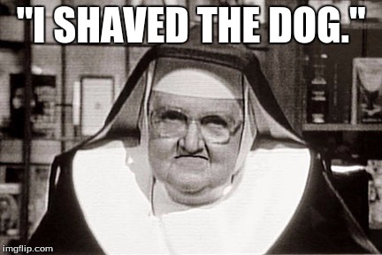 Frowning Nun | "I SHAVED THE DOG." | image tagged in memes,frowning nun | made w/ Imgflip meme maker