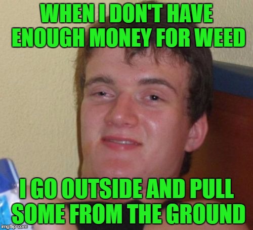 10 Guy | WHEN I DON'T HAVE ENOUGH MONEY FOR WEED; I GO OUTSIDE AND PULL SOME FROM THE GROUND | image tagged in 10 guy,memes,funny,weed,meme | made w/ Imgflip meme maker