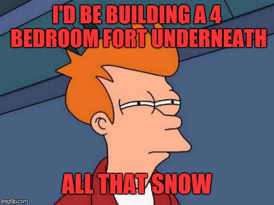 Futurama Fry Meme | I'D BE BUILDING A 4 BEDROOM FORT UNDERNEATH ALL THAT SNOW | image tagged in memes,futurama fry | made w/ Imgflip meme maker