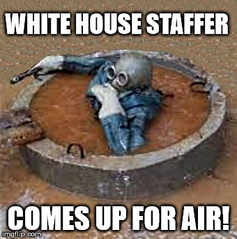 trump
 | WHITE HOUSE STAFFER; COMES UP FOR AIR! | image tagged in white house,staffer,trump | made w/ Imgflip meme maker