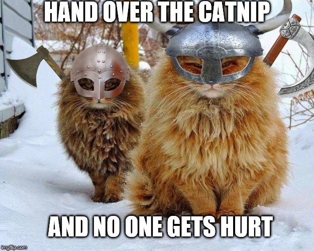 Viking Cats | HAND OVER THE CATNIP; AND NO ONE GETS HURT | image tagged in viking cats | made w/ Imgflip meme maker