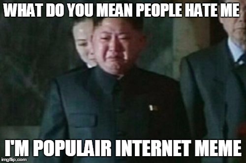 Kim Jong Un Sad | WHAT DO YOU MEAN PEOPLE HATE ME; I'M POPULAIR INTERNET MEME | image tagged in memes,kim jong un sad | made w/ Imgflip meme maker
