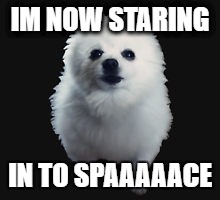 gabe that went to space | IM NOW STARING; IN TO SPAAAAACE | image tagged in gabe the dog | made w/ Imgflip meme maker