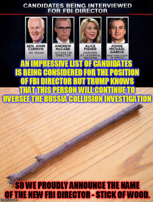 He is all Bark and Well, all Bark... | AN IMPRESSIVE LIST OF CANDIDATES IS BEING CONSIDERED FOR THE POSITION OF FBI DIRECTOR BUT TRUMP KNOWS THAT THIS PERSON WILL CONTINUE TO OVERSEE THE RUSSIA COLLUSION INVESTIGATION; SO WE PROUDLY ANNOUNCE THE NAME OF THE NEW FBI DIRECTOR - STICK OF WOOD. | image tagged in donald trump,fbi director | made w/ Imgflip meme maker