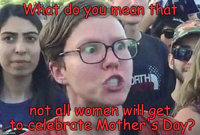 Could this be another scream about 'Inequity'? | What do you mean that; not all women will get to celebrate Mother's Day? | image tagged in triggered liberal,mothers day,triggered,feminism,feminist,memes | made w/ Imgflip meme maker