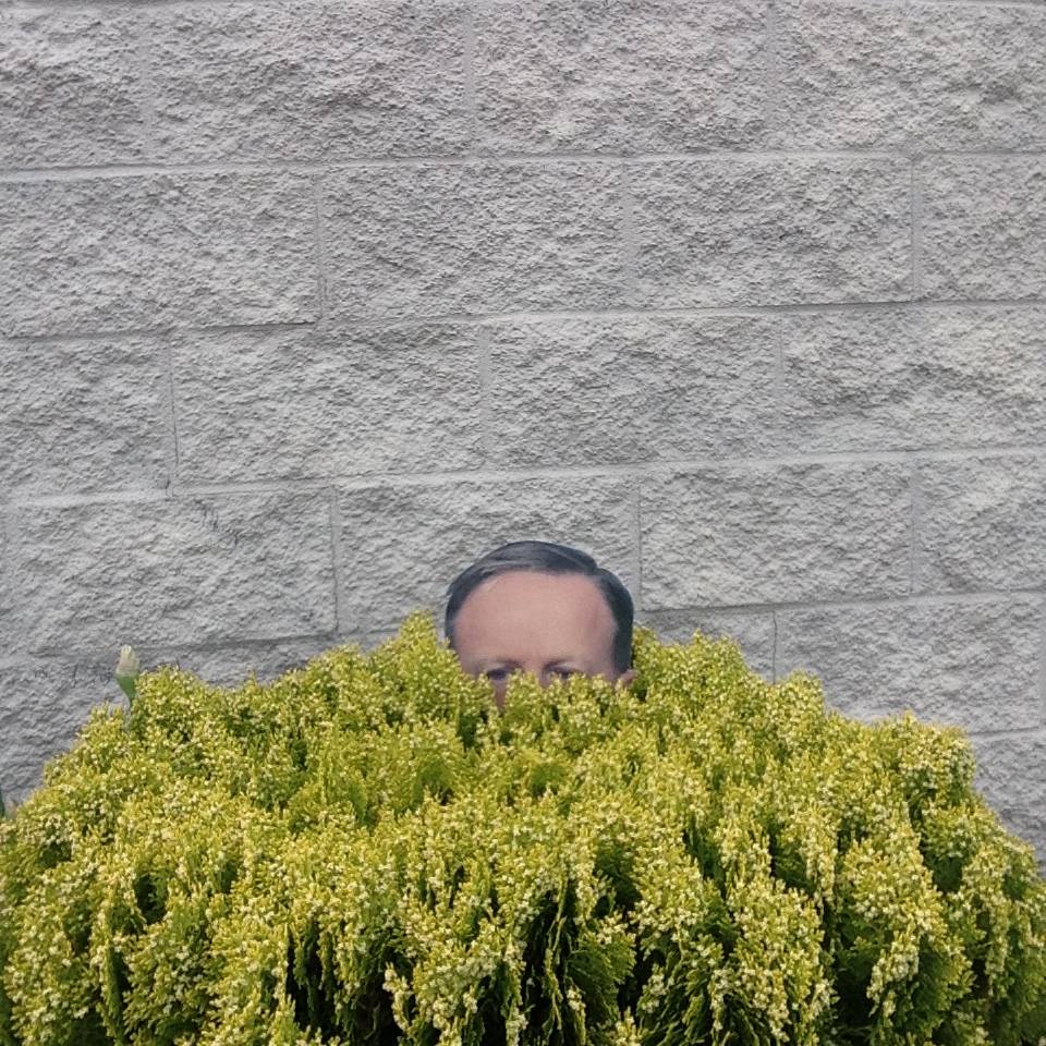 SPICER BUSHES Blank Meme Template