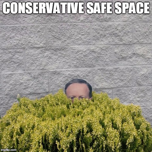 SPICER BUSHES | CONSERVATIVE SAFE SPACE | image tagged in spicer bushes | made w/ Imgflip meme maker